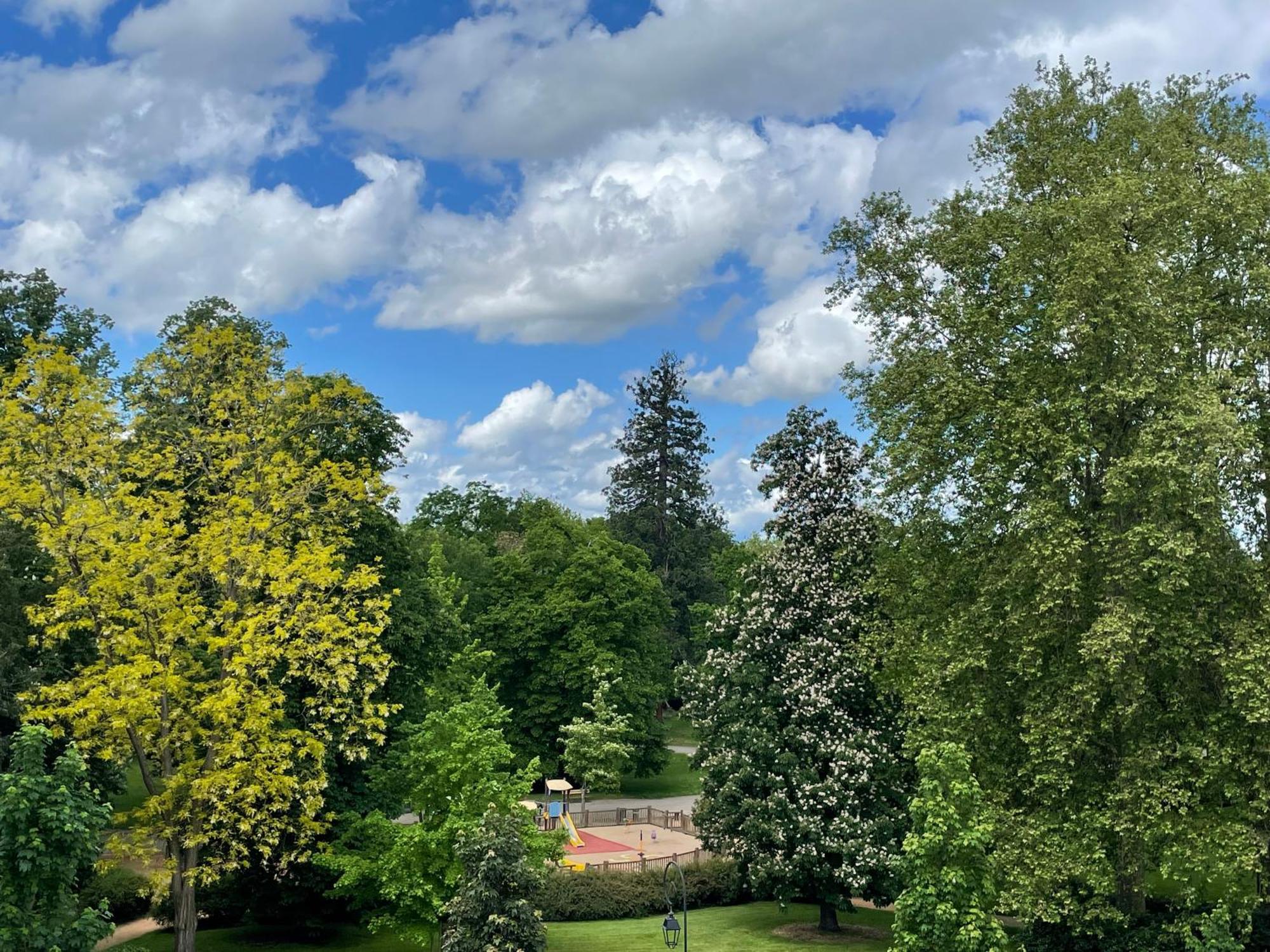 Le Joyau Des Parcs Classe 4 Etoiles Appartement Central Au Calme Avec Terrasse Vichy Zewnętrze zdjęcie